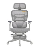 Premium Mesh Chair - EARL by NOBLE - Free Installation