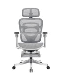 Premium Mesh Chair - EARL by NOBLE - Free Installation