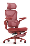 Foldable Premium Mesh Chair - PRINCE by NOBLE - Free Installation