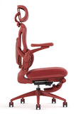 Foldable Premium Mesh Chair - PRINCE by NOBLE - Free Installation