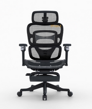 Premium Mesh Chair - EARL by NOBLE - Free Installation